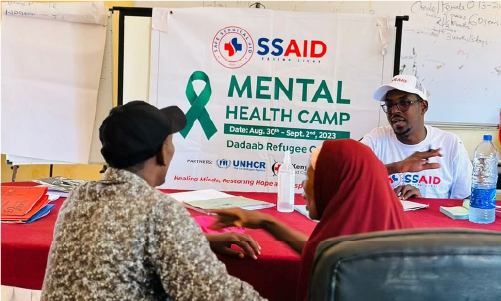 Mental Health Wellness